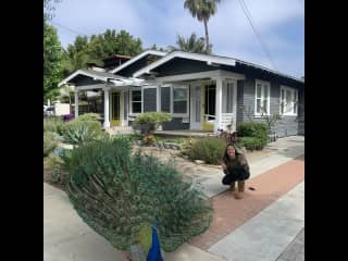 Front of the house with our famous Long Beach peacock named Pete!