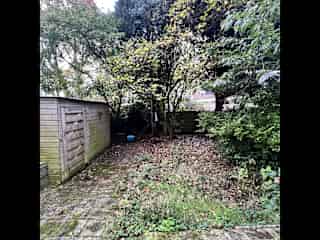 Back garden