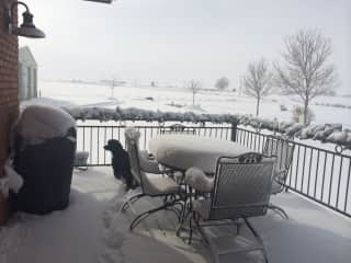 Winter on the front deck