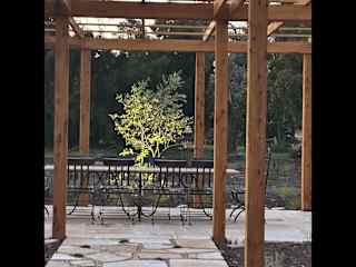 Sitting area under the pagola.