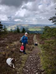 Early May walk in the gorgeous Scottich borders hills where we live!