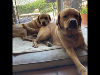 Big Hank with sister, Hazel.