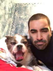 Dino was Tobi's human companion for 13 years