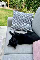 Just chillin' in the garden.