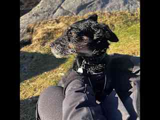 Windy walk on the hills