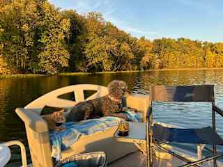 Juno and Merlin on our "electric raft" we call the Star Deck.