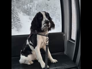 Prema on the gondola