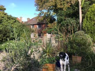House from garden patio