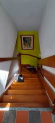 Attic bedroom stairs