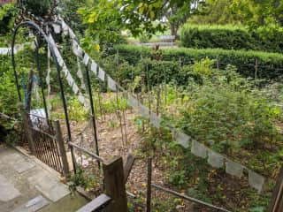 Vegetable garden, not including wicking beds