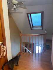 top of stairs leading to your room