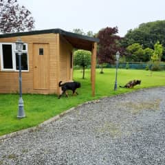 Shed and view to end of garden