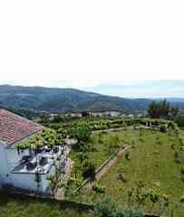 Over view