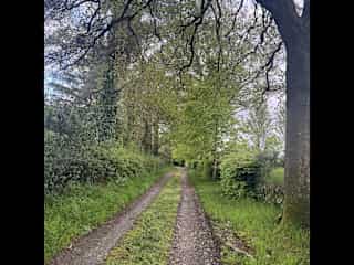 Driveway to the house