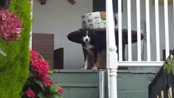 Sally in the porch