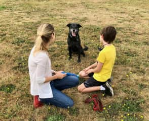 Playing fetch with Talia in Corvallis, OR