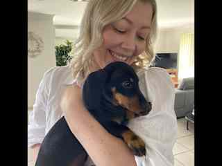Billie as a puppy!