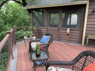 Summer deck greenery.