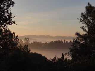 View from the verandah