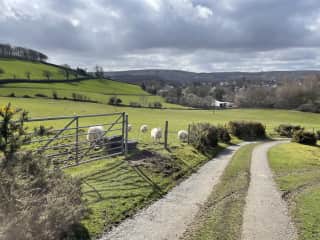 View from path on walk from Gelli Lon to Lampeter
