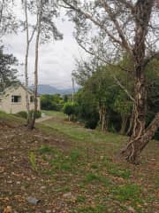 View from the garden down towards the house and river