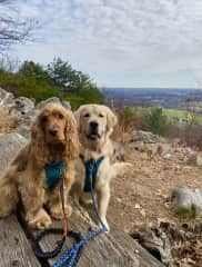 Kobe and Ralph love a good hike!