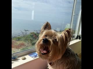 Little man by the beach!
