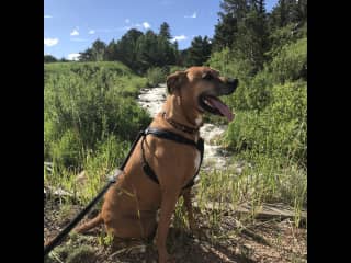 Enjoying the beautiful outdoors.