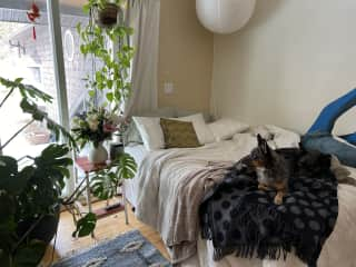 Cozy, sunlit. bedroom