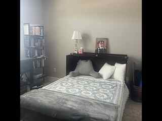 Guest bed