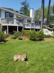 Front of home with lake view.