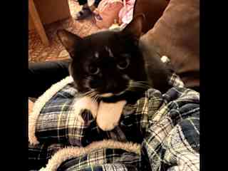Gemma love a good kneading