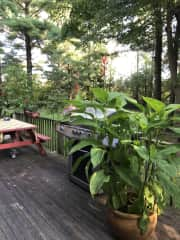 Side porch with picnic table