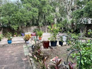 Newly paved, very private backyard with lots of foliage and citrus bushes.