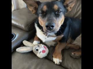 She took care of the Easter Bunny