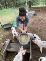 Piglets in our last stay!! Loved it!