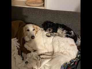Stanley loves Ella