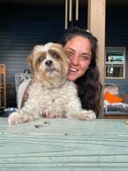 Gizmo in Collingwood, ON