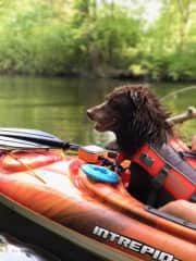 Deacon kayaking on the river