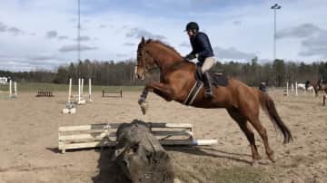 Me and Quality eastern 2021.