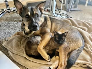 They're all good friends around here