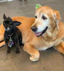 Layla always really looked after Bentley