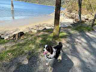 This is Barnet Marine Park. One of our fairly local off leash dog parks