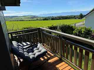 Views of the Alps from the back deck