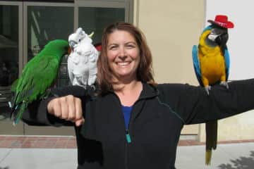 I was out running errands and of course had to stop an say “Hi!” to the pretty birds.