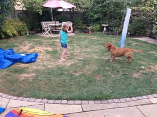 Zea playing ball with Rusty on our first house sit through TrustedHousesitters.