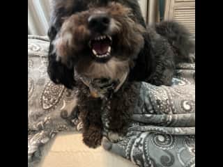 He smiles