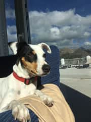 Bimba always on the lookout