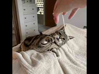 Playing with some string!