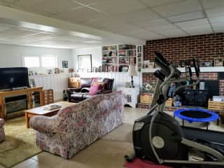 Downstairs exercise area